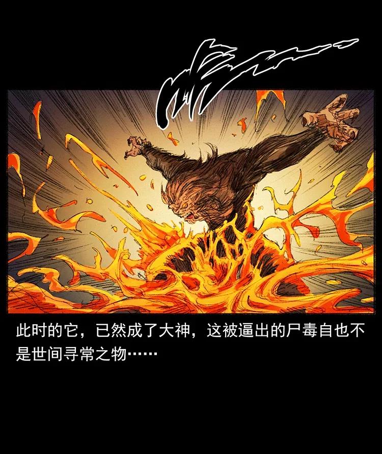 368 上古尸毒64