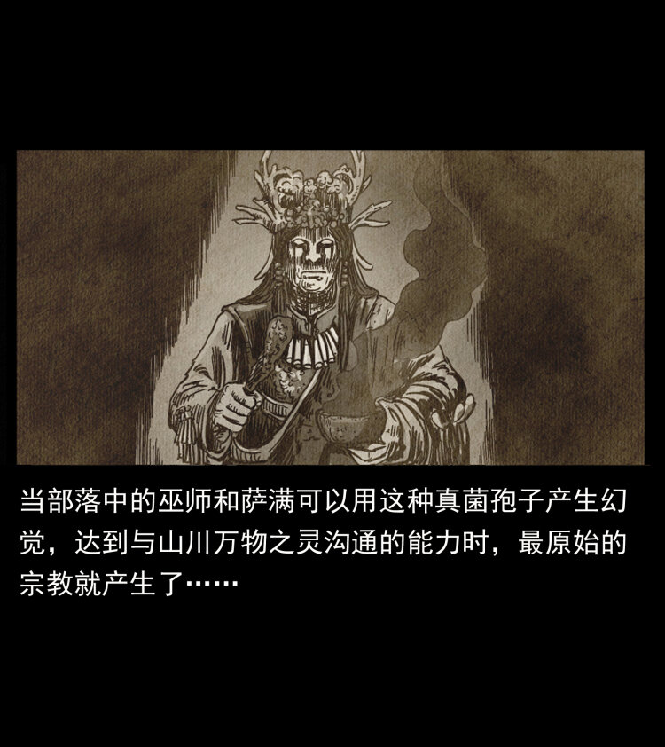 460 你才是猴子变的！29