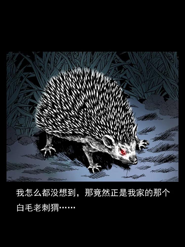 番外2 之保家白仙71