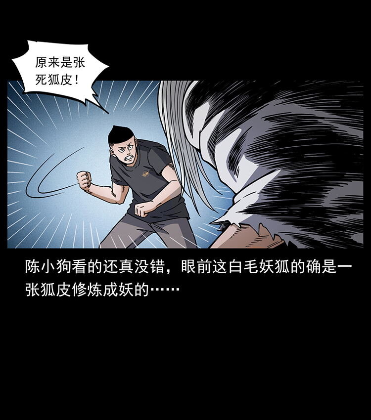 486 人与狐51