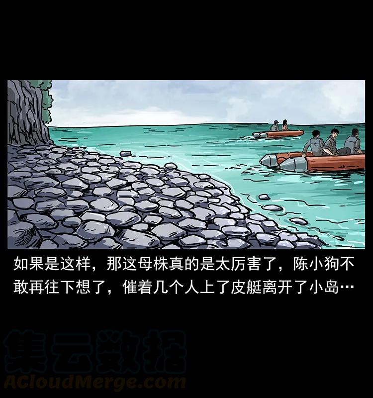 236 神秘的小岛80