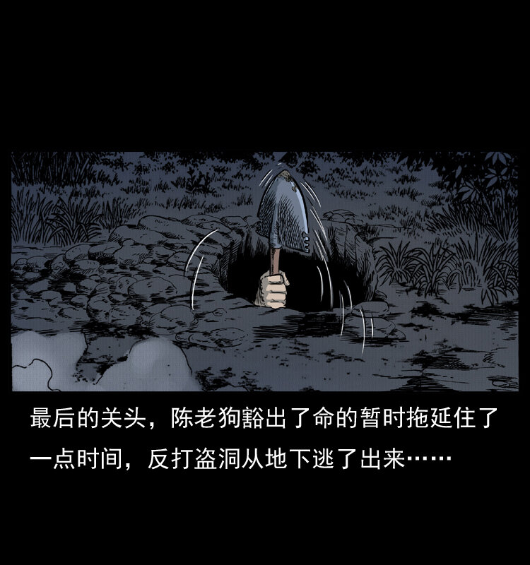 005 刨尸狗31