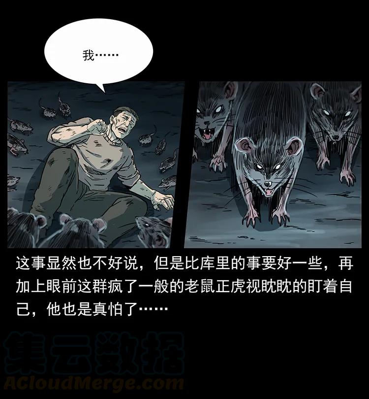 251 刨尸狗遇险24