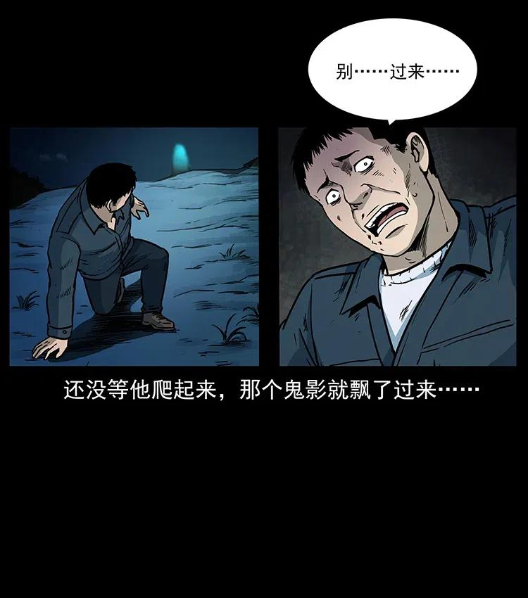 311 一窝生几个？29