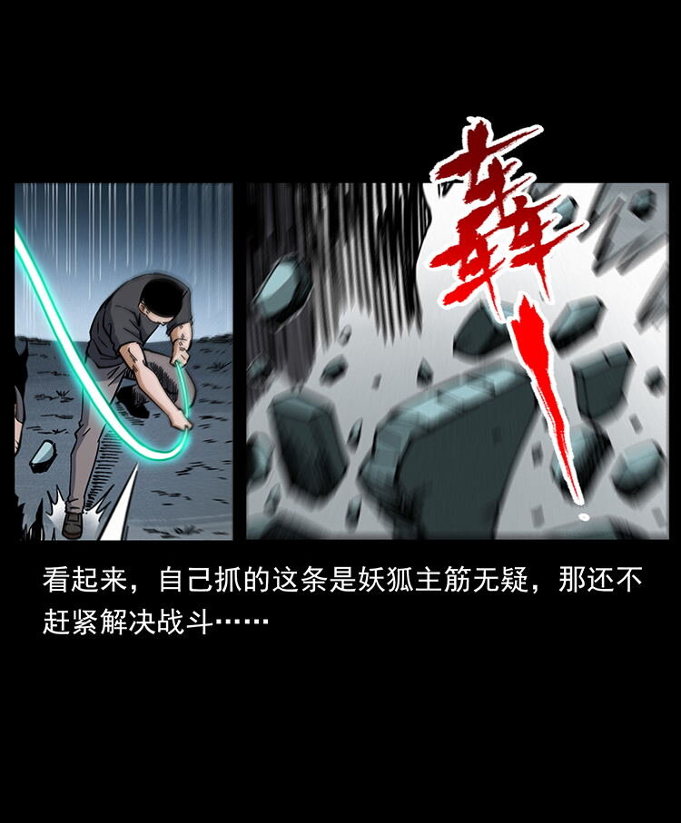486 人与狐47