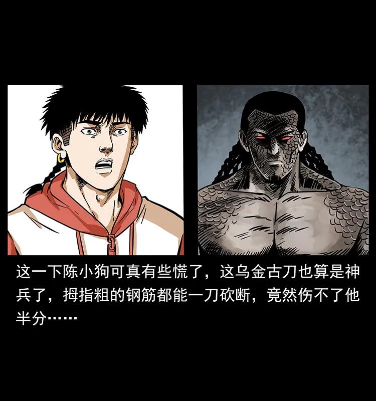 219 蚩龙抬棺61