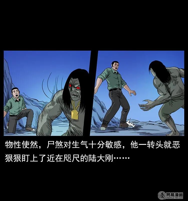 118 天宝仙牌11