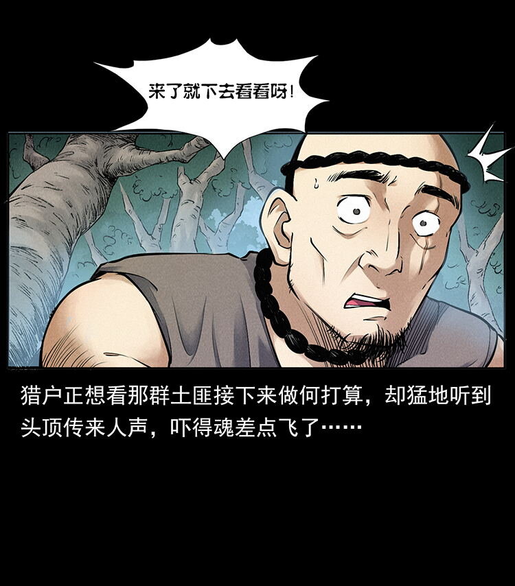 外传 洛生传2 土匪，土匪17