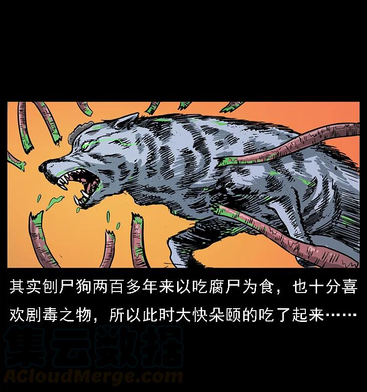 082 鬼桃树72