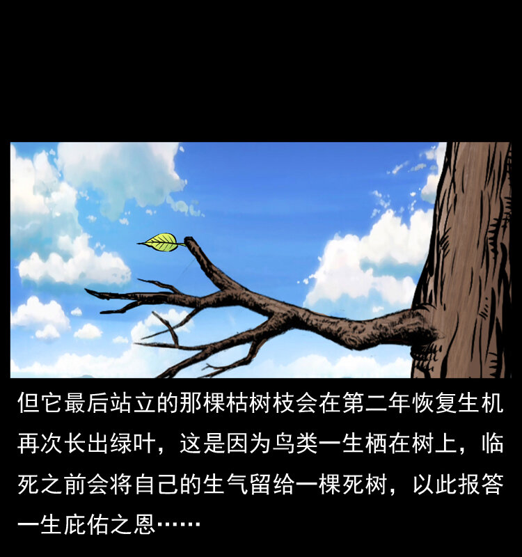 036 百雀丹（上）10
