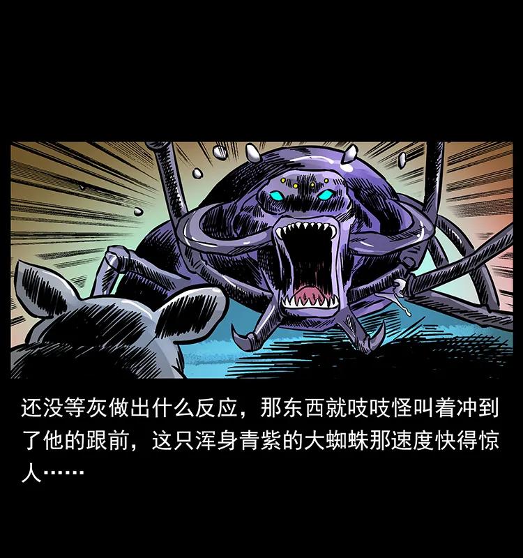163 陈老狗下南疆11