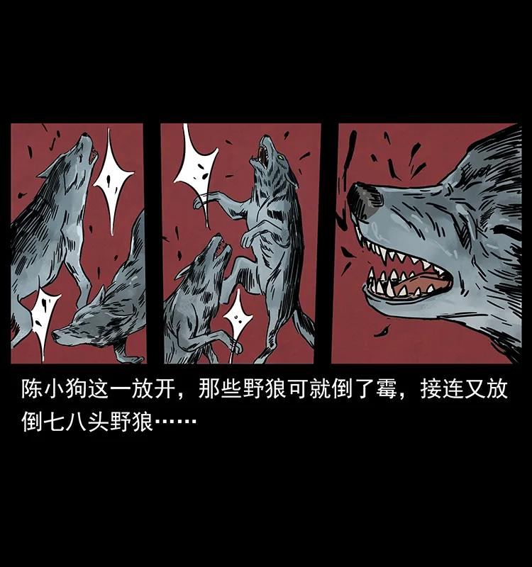 212 草原深处46