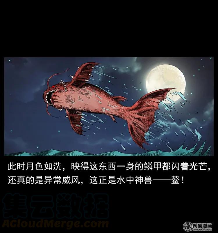 129 通天鼋12