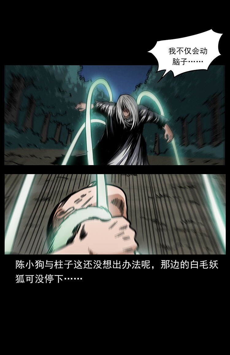 486 人与狐38