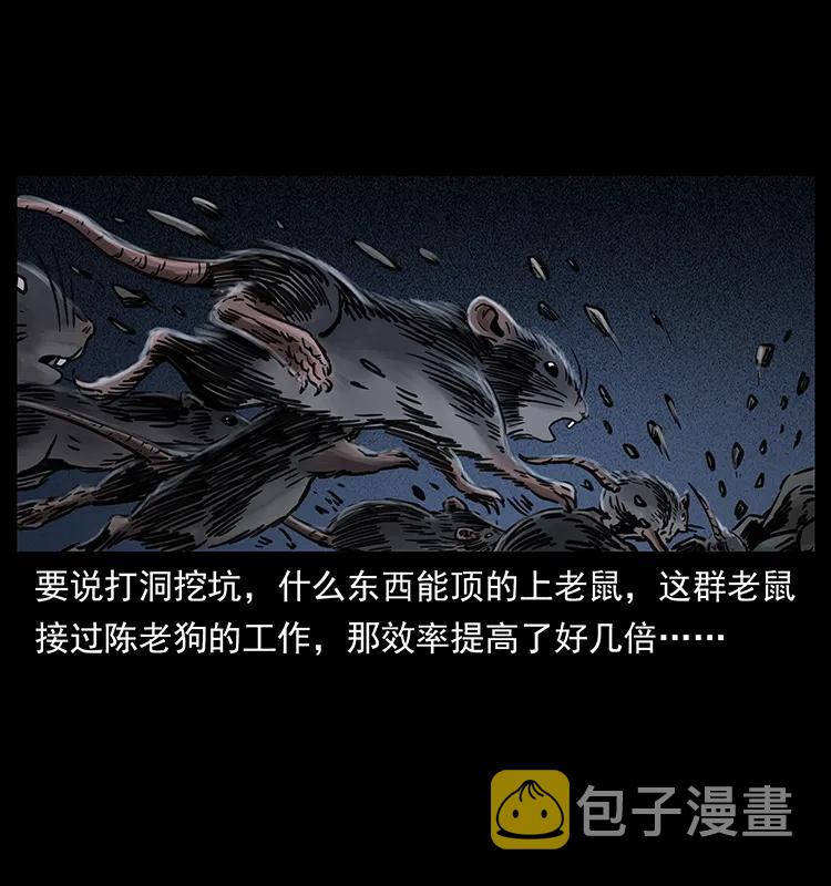 251 刨尸狗遇险5