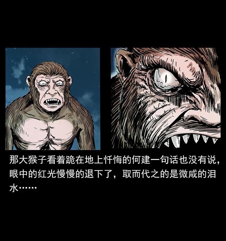 229 东海龙骨30