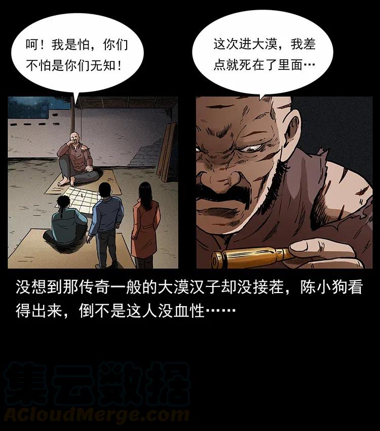 316 大漠归客84