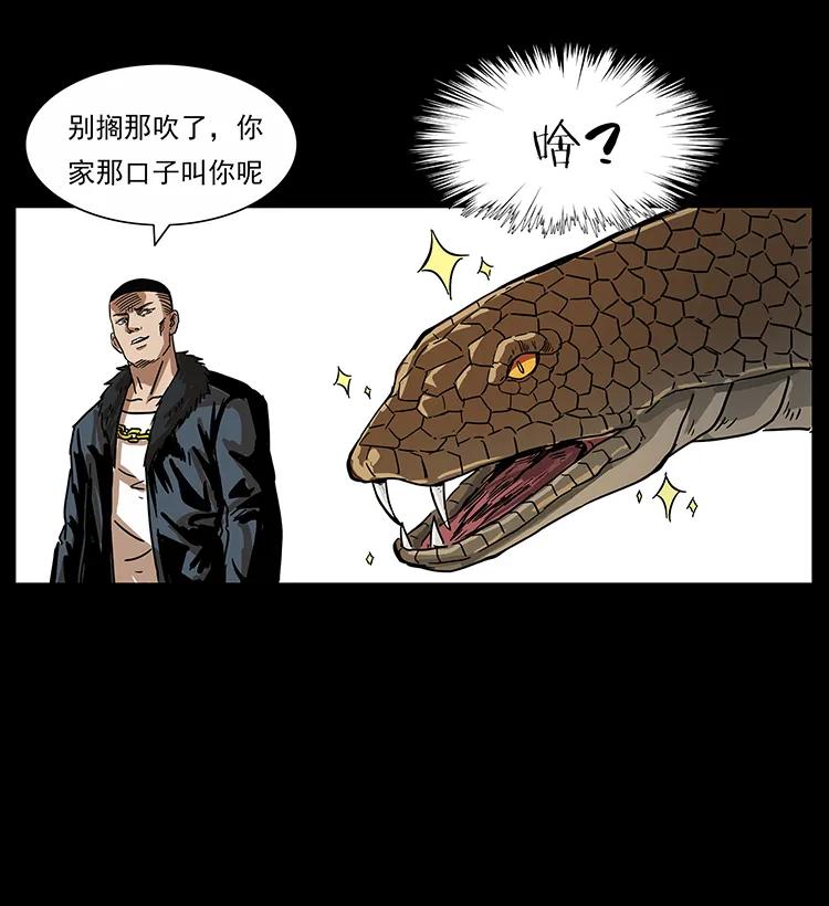 242 陈小狗失算了79