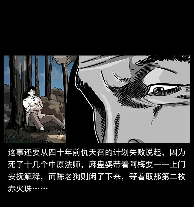 167 陈老狗遇险18