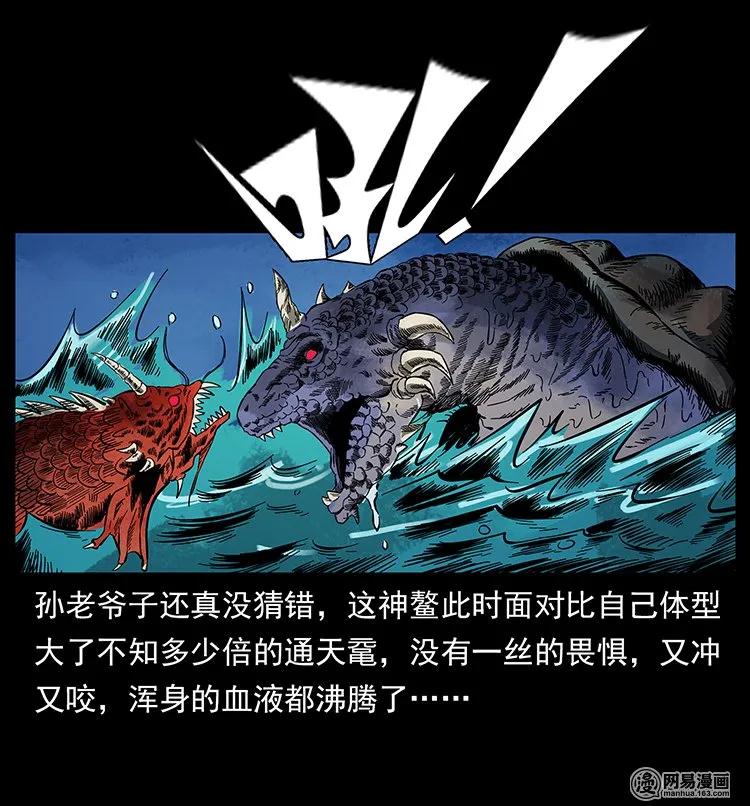 130 大战通天鼋22