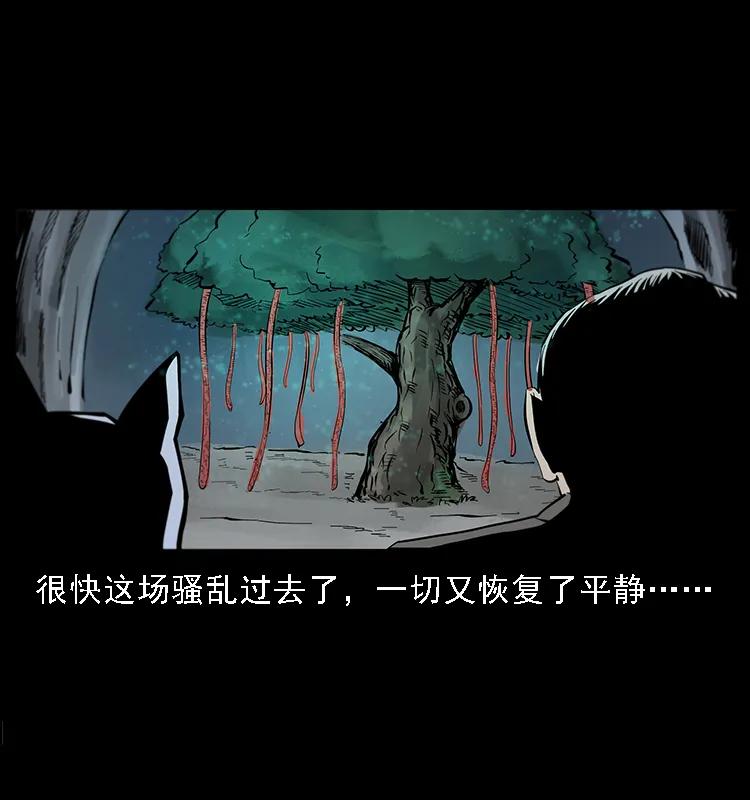 082 鬼桃树55