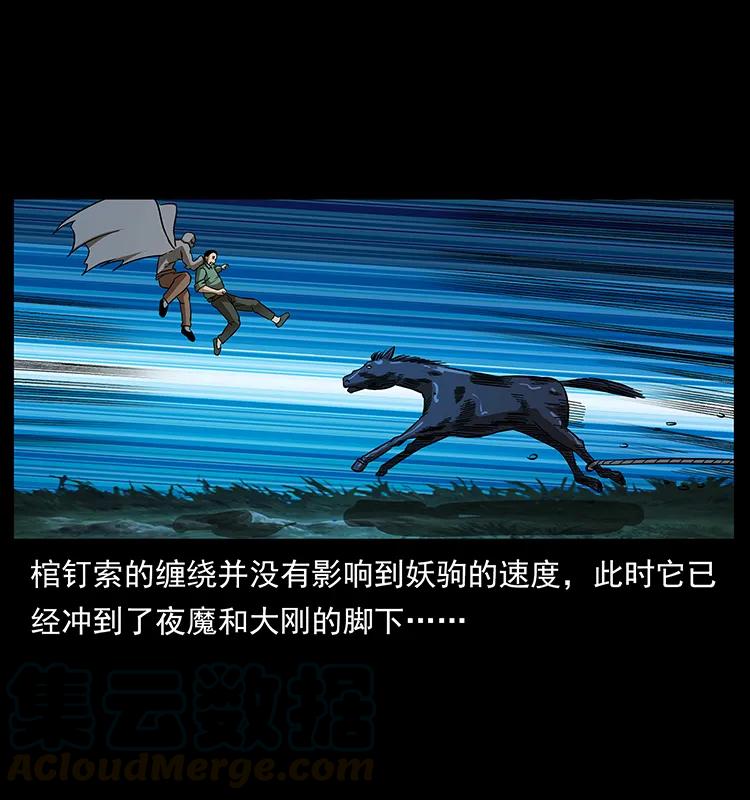 158 妖驹的选择28