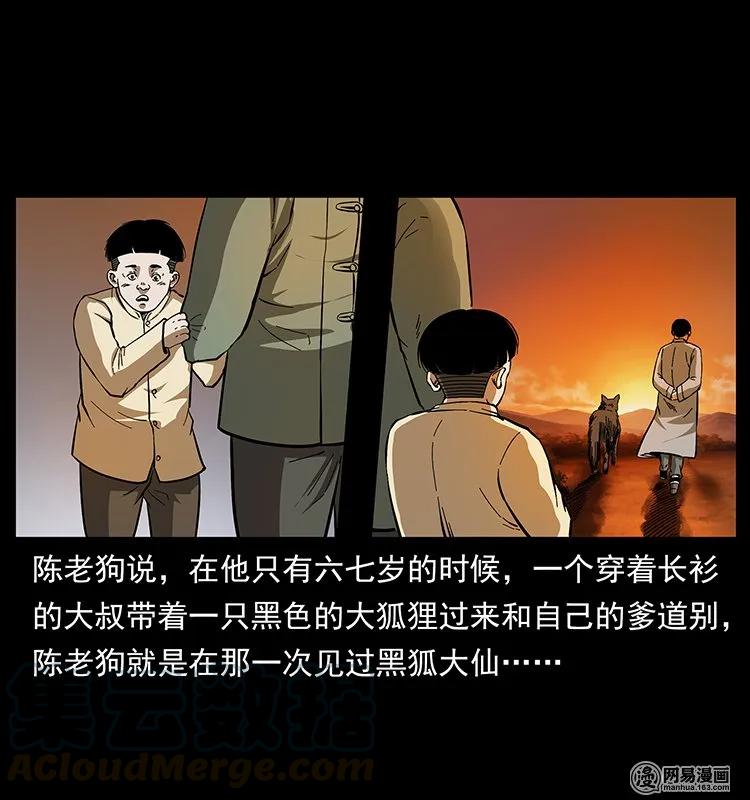 142 黑狐8