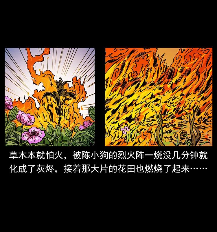 236 神秘的小岛70