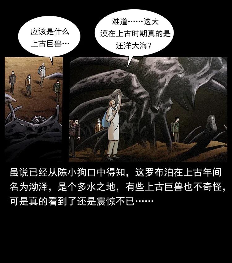 322 生死罗布泊2