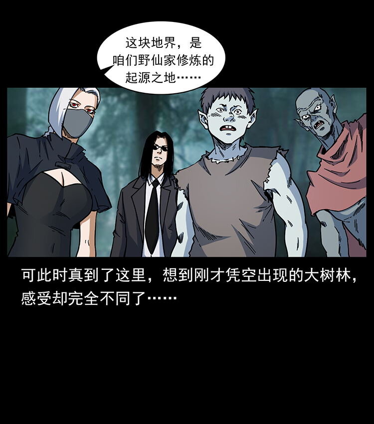 480 萨满来了！52