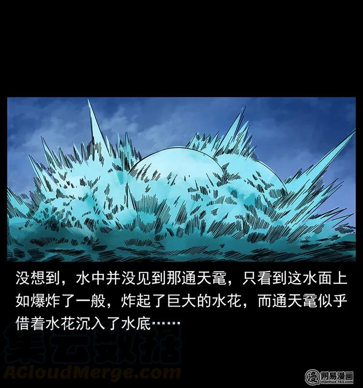 130 大战通天鼋84