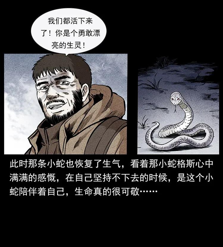 291 大神命阵30