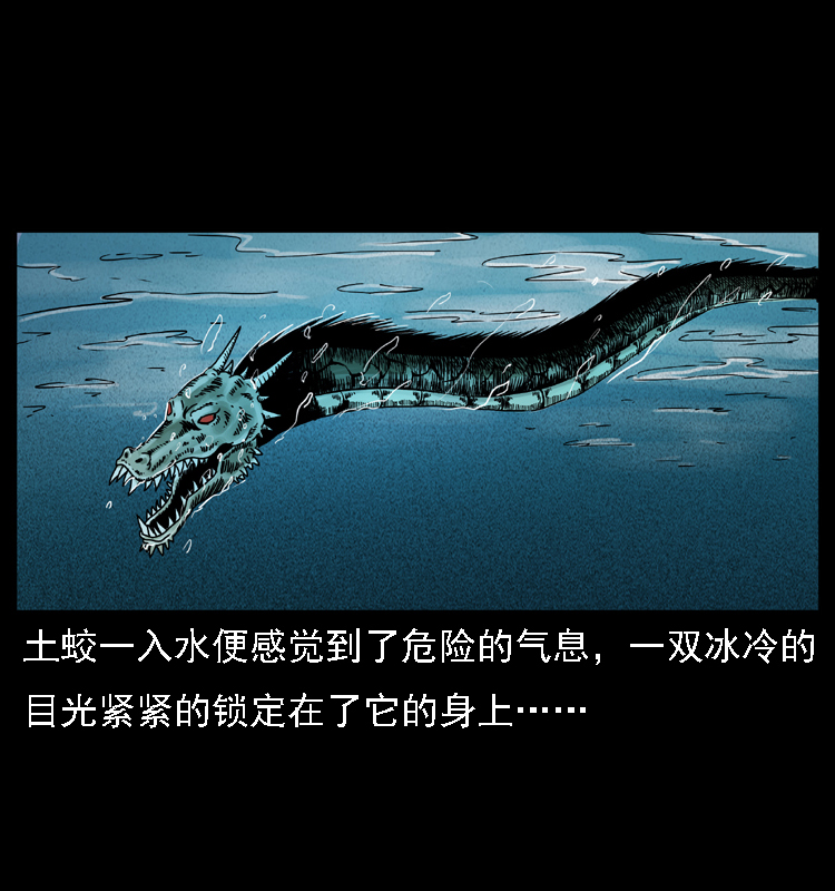 030 斗土蛟223