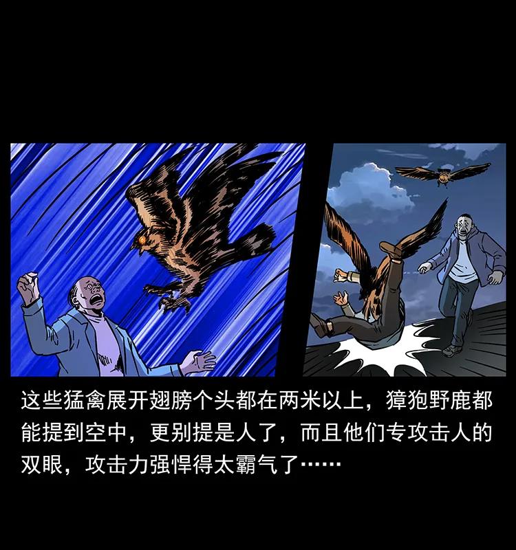 179 龙家的实力31