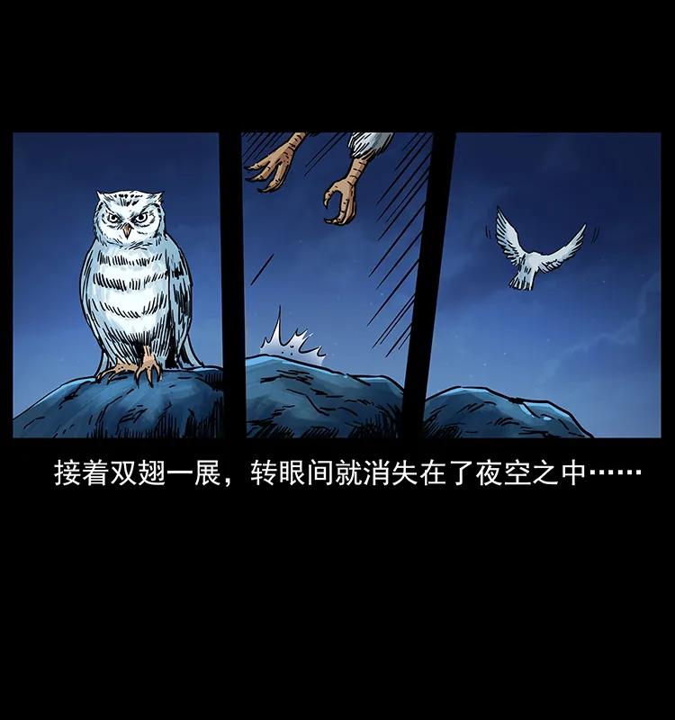 273 圈套18