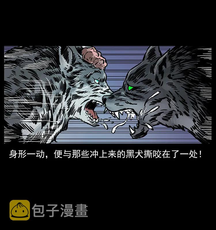 251 刨尸狗遇险87