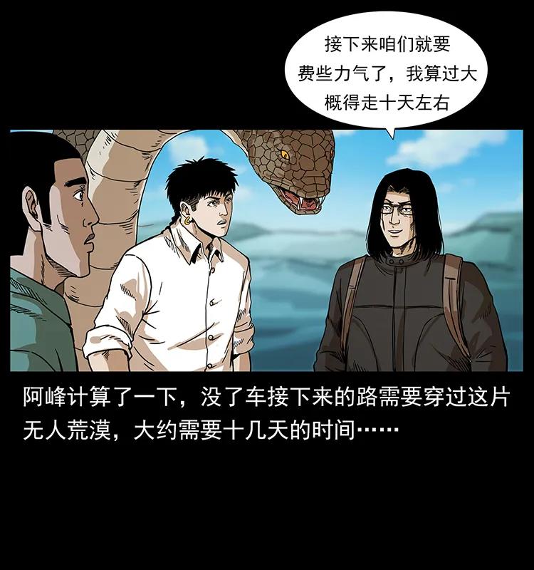 212 草原深处63