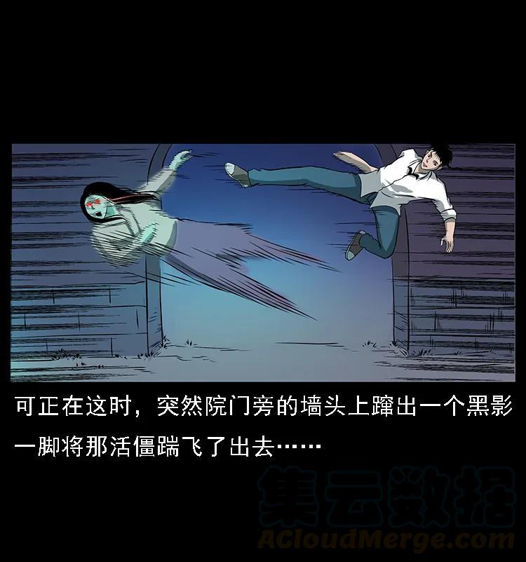 086 冷寒宫冤魂80