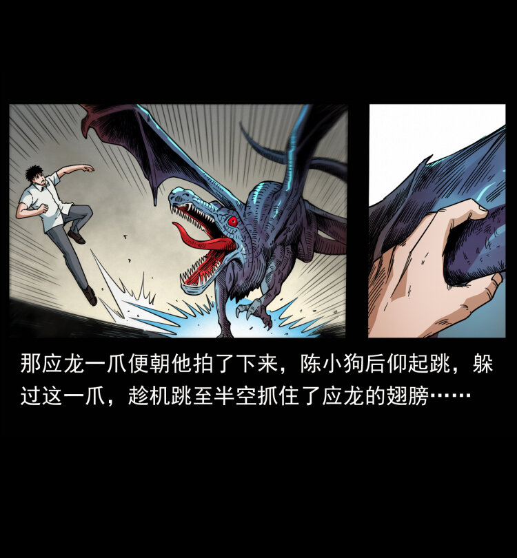 440 应天龙29