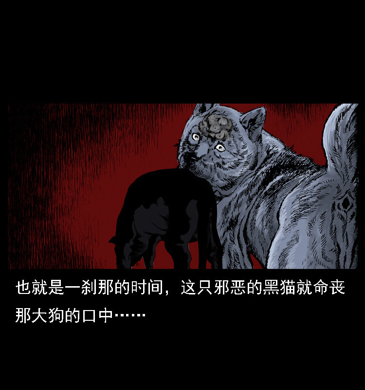 004 猫妖62