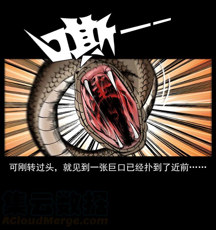 189 龙家的实力12