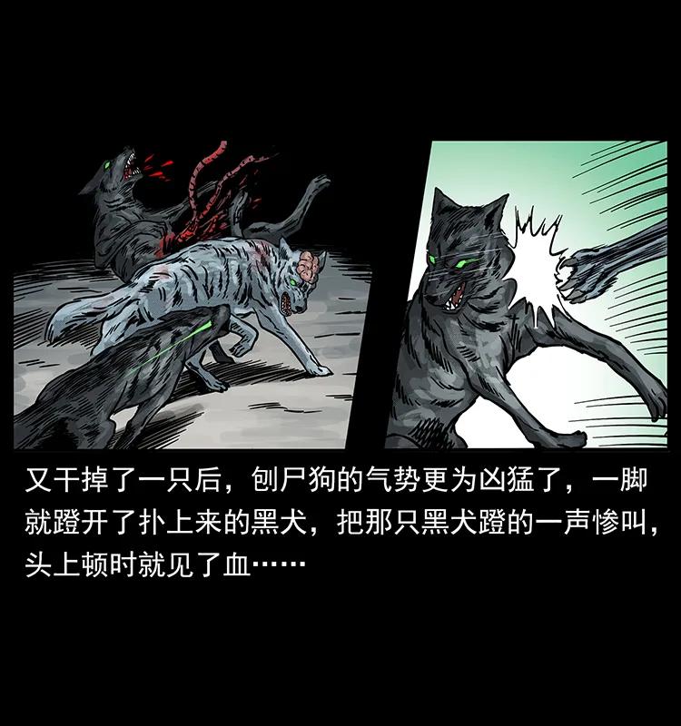 252 危机！危机27