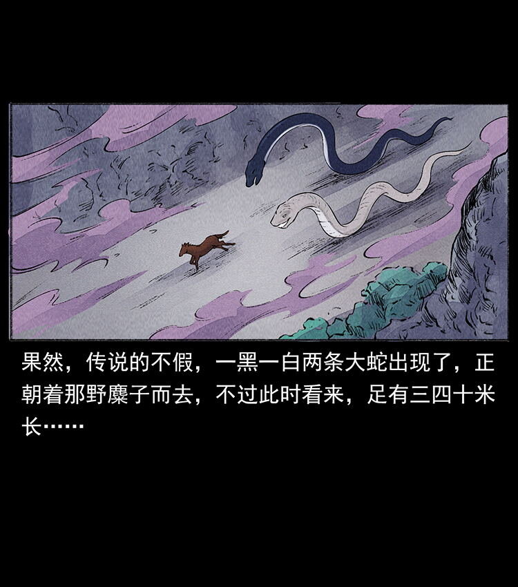 外传 洛生传5 引蛇出洞57