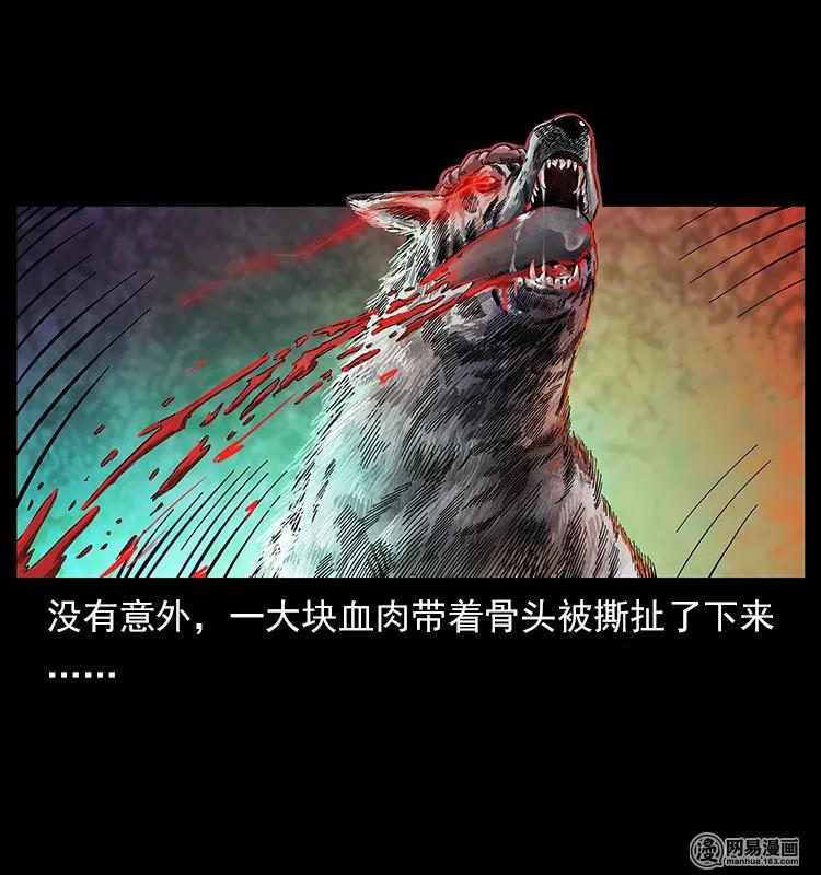 118 天宝仙牌66