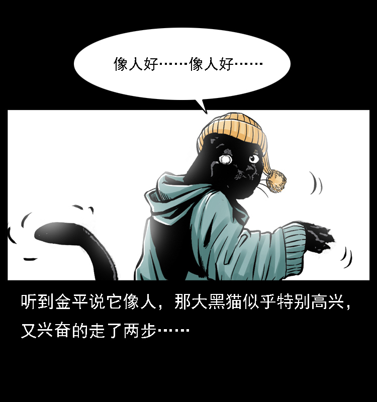 003 赵家的猫44