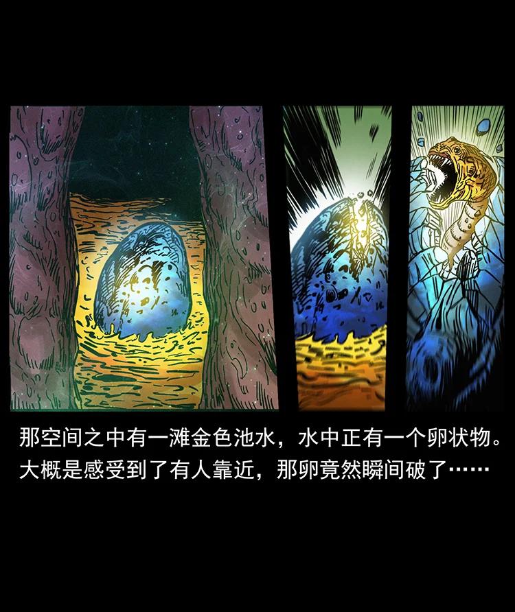 387 老大出手，天崩地裂！41