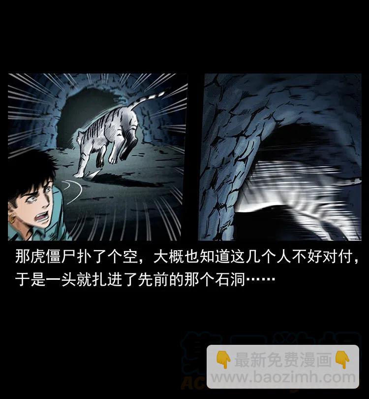 342 白毛僵尸60