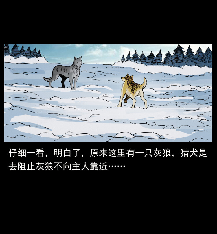 469 冻土的世界65