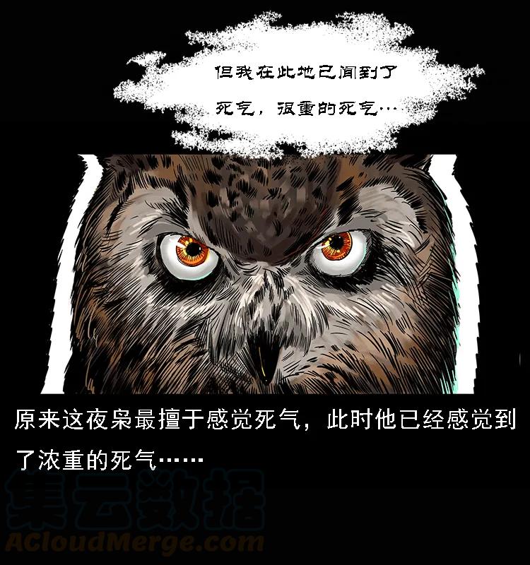 084 刨尸狗的妖化之路72