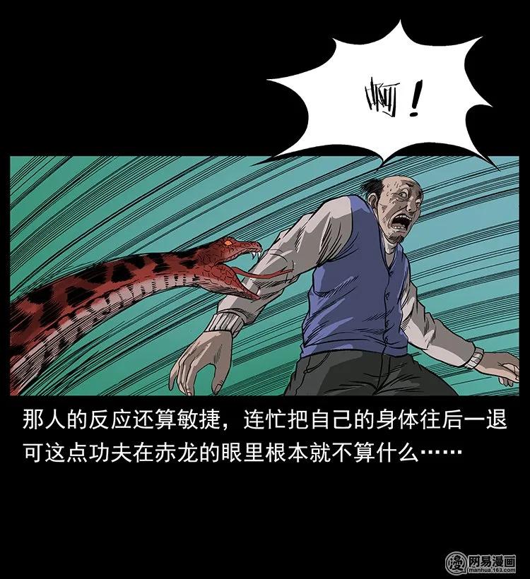 132 棺陵村诡事81
